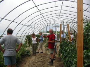 greenhouse tour